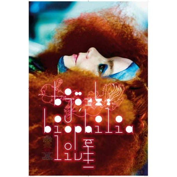 Bjork poster 24inx36in Poster 24x36